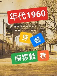 年代1960穿越南锣鼓巷小说完本