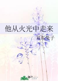 他从火光中走来小说