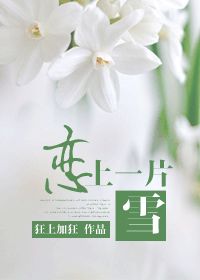 恋上一片雪小说全文免费阅读下载