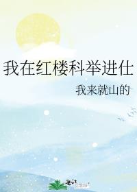 我在红楼科举进仕全文阅读