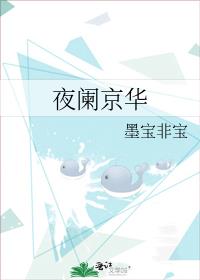 夜阑京华墨宝非宝全文免费阅读