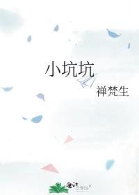 小坑坑是什么意思