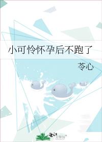 小可怜怀孕后不跑了_苓心小说阅读