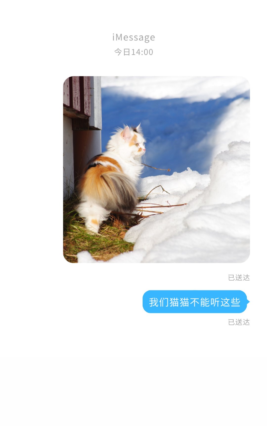 猫咪不能听